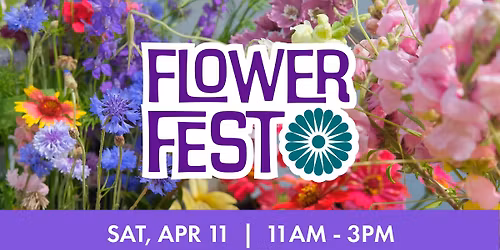 Flower Fest \ud83c\udf37\ud83c\udf3c