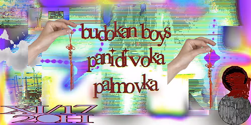 DP Pres. BUDOKAN BOYS \/ PALMOVKA \/ PANIDIVOKA