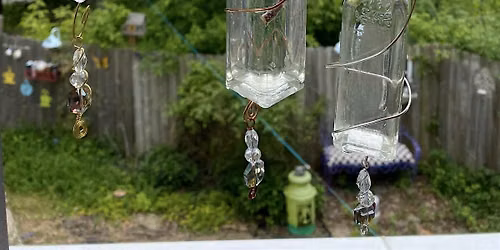Botanical Bottles- WireWrapped Plant Propogators w\/ Debbie Coller