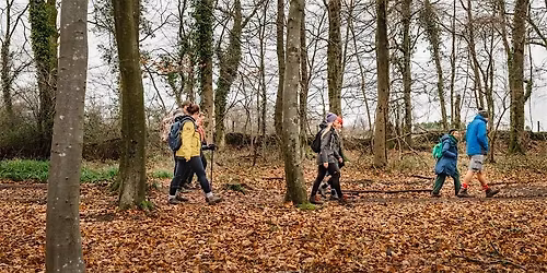 Wilding Out: Shared Moments Walk at Wholly Gelato, Elmore