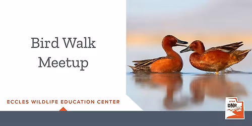 Bird Walk Meetup - Eccles Wildlife Education Center