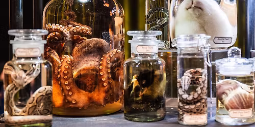 World Oddities Expo at Greater Columbus Convention Center