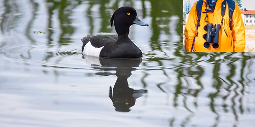 Kurs i fuglefotografering