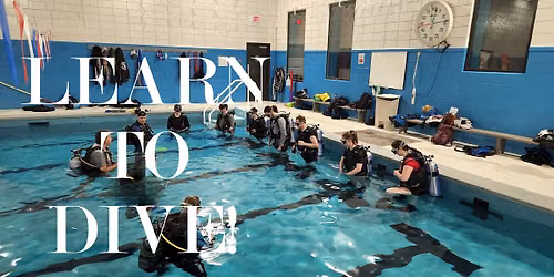 Open Water Diver Course