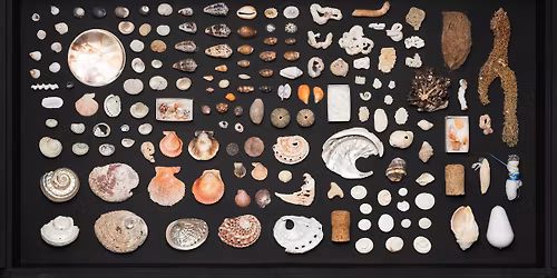 Make your own museum in a box | Workshops with Perdita Phillips 
