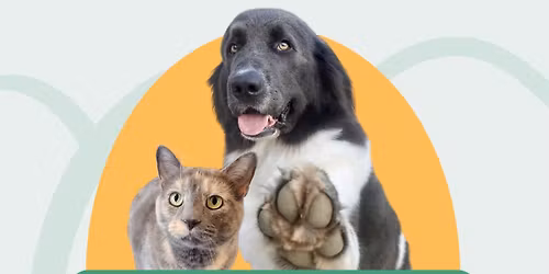 Microchips and Nail Trims