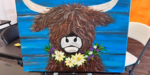 Highland Cow