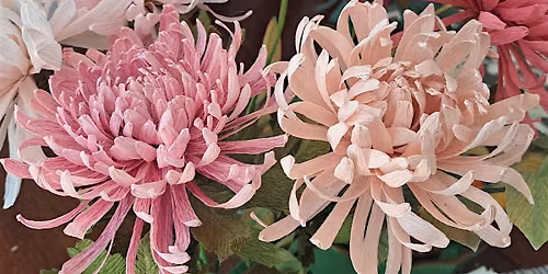 Petal to Paper: Paper Chrysanthemum Workshop