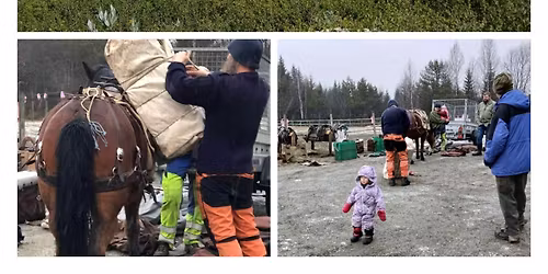 Kl\u00f8vdag - demonstrasjon og foredrag 