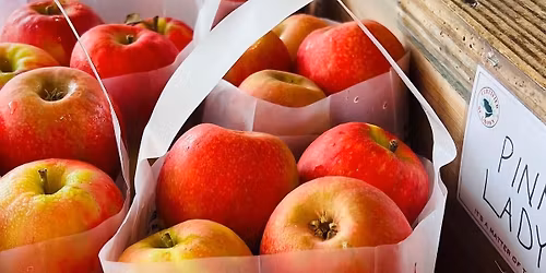 Pink Lady\u00ae Apple Celebration!