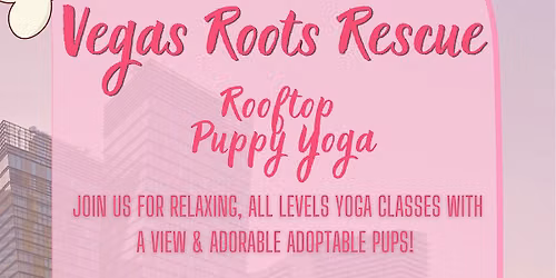 Rooftop Puppy Yoga at BLVD