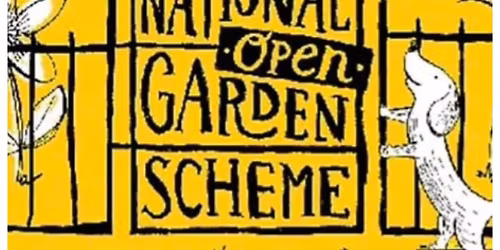 NGS Charity Event