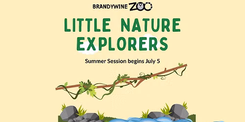 Little Nature Explorers - Summer Session