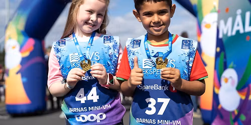 Barnas mini-VM, Lerkendal
