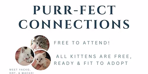 Purr-Fect Connections
