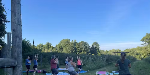 Farm YogAdventures: Berries + Yoga