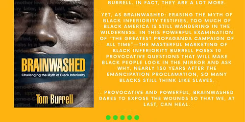 Sankofa Study Group: Join us for Chapter 10 of Brainwashed by Tom Burrell