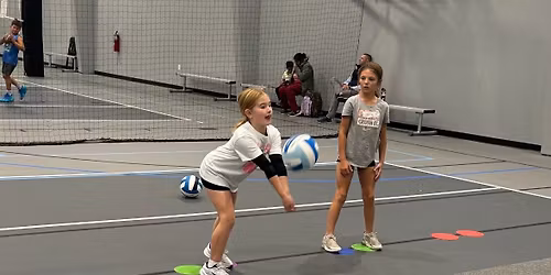 Impact Minis & Champs