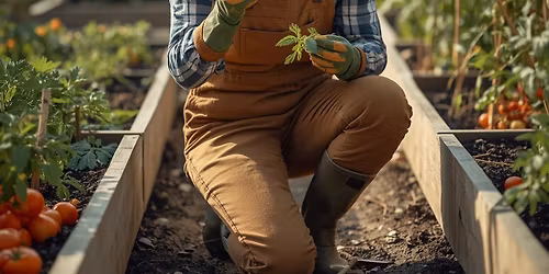 Identifying and Dealing with Veggie Garden Pests and Disease