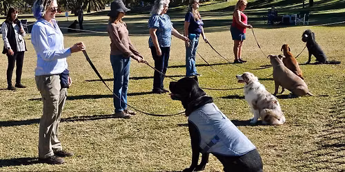 Obedience and Rally Trials December 2025
