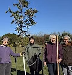 Perspectives on the Tree Canopy in Columbus's Underserved Communities