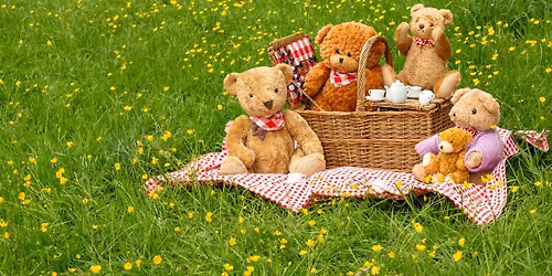 Teddy Bears and Friends Picnic