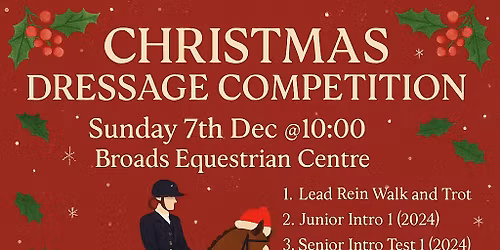 Christmas dressage