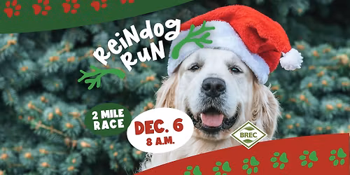 Reindog Run