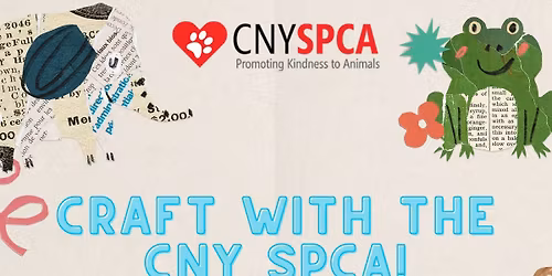 Craft with the CNYSPCA @CountryMax