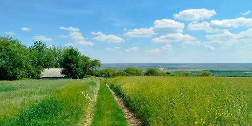 \u00d6reg-sz\u00e9kely Teljes\u00edtm\u00e9nyt\u00fara