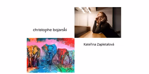 Vernis\u00e1\u017e obraz\u016f Christopha Bojarski a performance here\u010dky Kate\u0159iny Zapletalov\u00e9