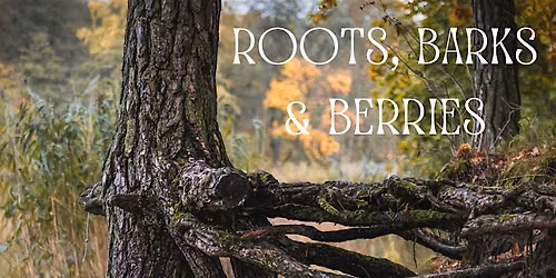 Roots, Barks and Berries