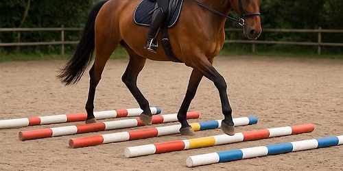 Pole work clinic with Judith Murphy FHBS