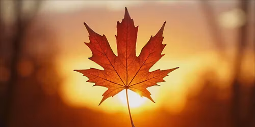 Canadian Stamp and Stomp (Thursday show)