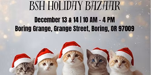 BSH Holiday Bazaar