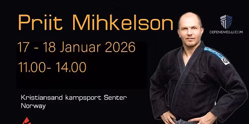 Workshop Priit Mihkelson