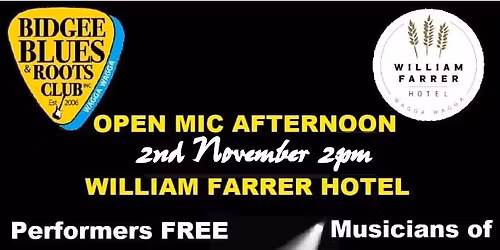 Bidgee Blues & Roots Club November Open Mic Afternoon