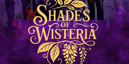 Shade of Wisteria