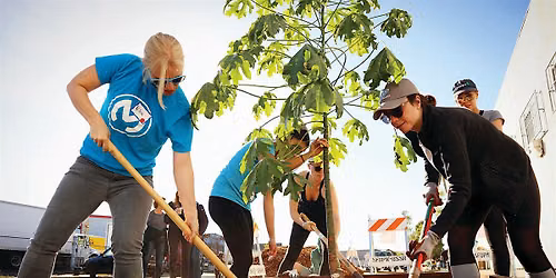 GBD's 25th St. Sidewalk Garden Workday