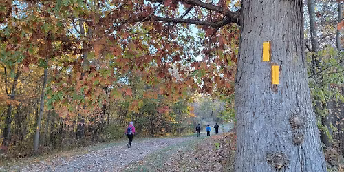 OptOutside Hike + Kid Friendly Version