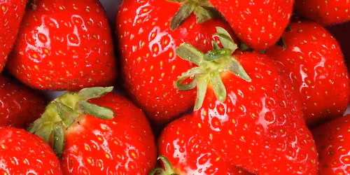 Union County Strawberry Fest