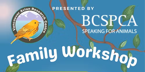 Family Workshop: Animals, Nature & Community