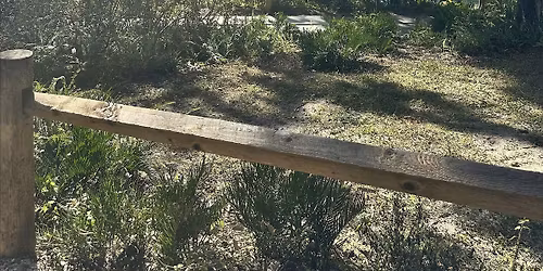 Morning Metamorphosis: Shed & Align