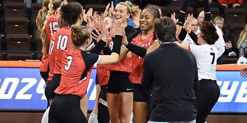 Central Michigan Chippewas at Ball State Cardinals Womens Volleyball