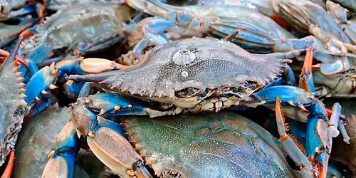 We Got That Smoke All You Can Eat Crab Feast