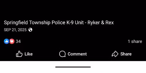 K9 Cruise In 