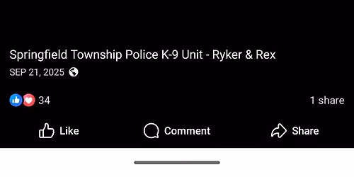 K9 Cruise In
