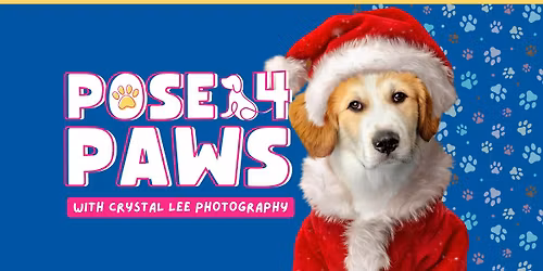 Pose4Paws Pet Mini Session Event