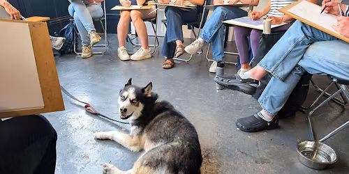 Dog Life Drawing at Kit.Form, Bristol - Summer season