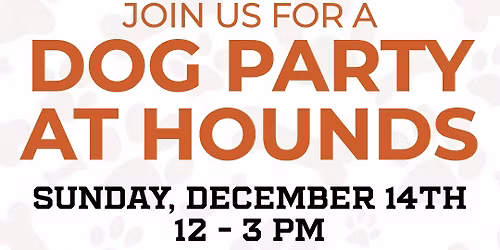 Dog Party at Hounds of Humboldt